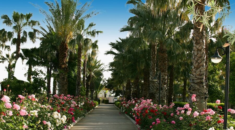 Adora Hotel & Resort