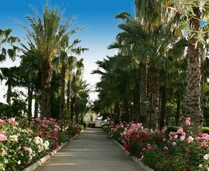 Adora Hotel & Resort