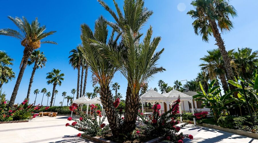 Adora Hotel & Resort