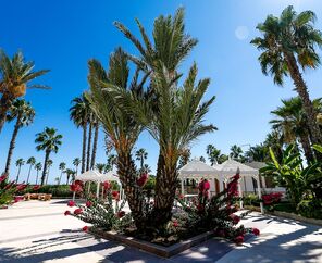 Adora Hotel & Resort