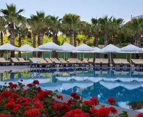 Papillon Zeugma Relaxury