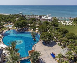 Papillon Zeugma Relaxury