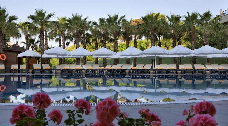 Papillon Zeugma Relaxury