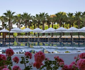 Papillon Zeugma Relaxury