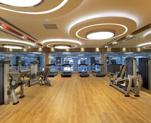 Papillon Zeugma Relaxury