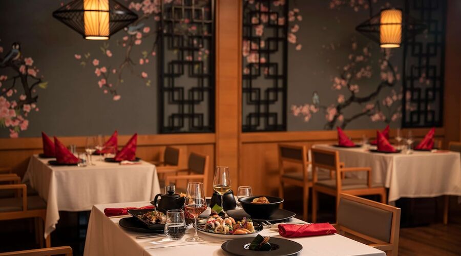 Papillon Zeugma Relaxury