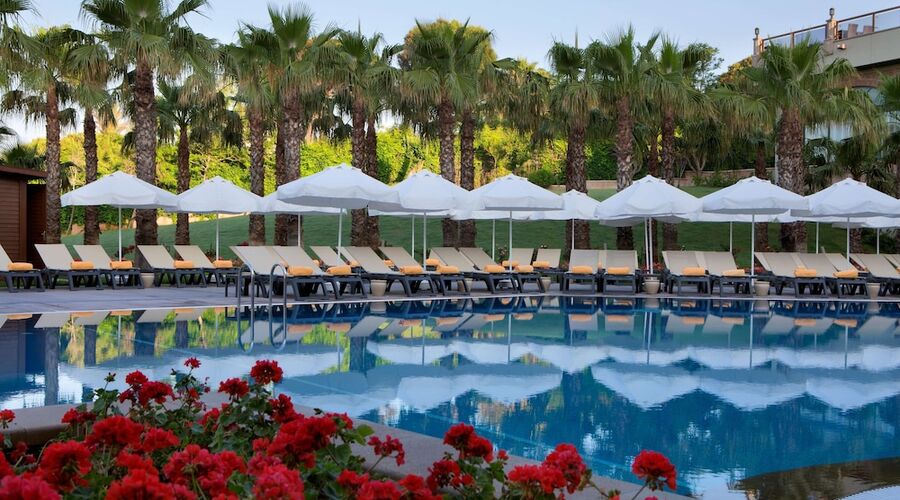 Papillon Zeugma Relaxury