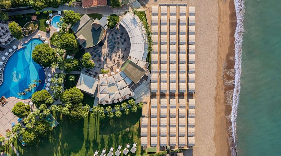 Papillon Zeugma Relaxury